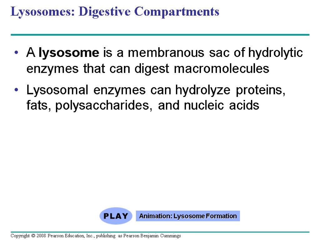 Lysosomes: Digestive Compartments A lysosome is a membranous sac of hydrolytic enzymes that can